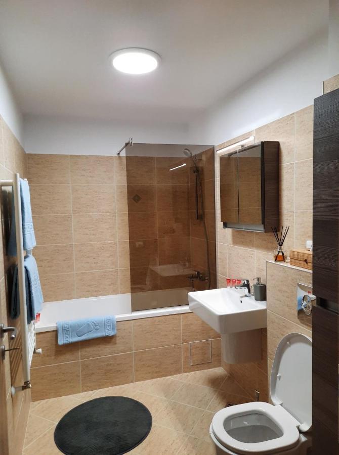 Sorin'S Comfortable Apartment Brasov Bagian luar foto