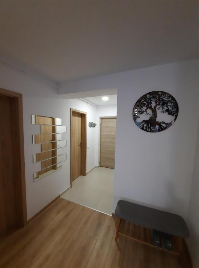 Sorin'S Comfortable Apartment Brasov Bagian luar foto
